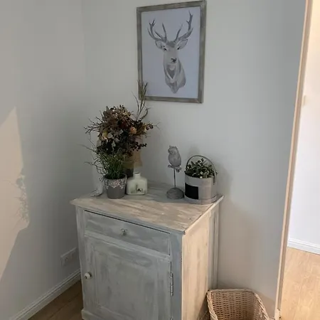 Magnifique Appartement Au Coeur De Mulhouse Exterior photo