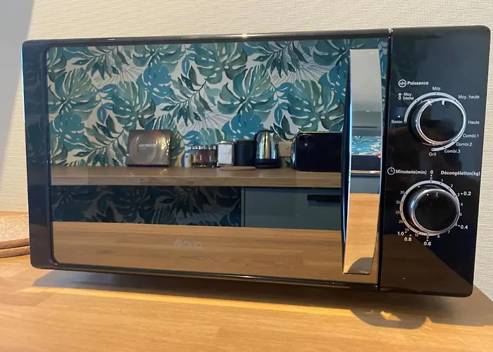 Magnifique Appartement Au Coeur De Mulhouse