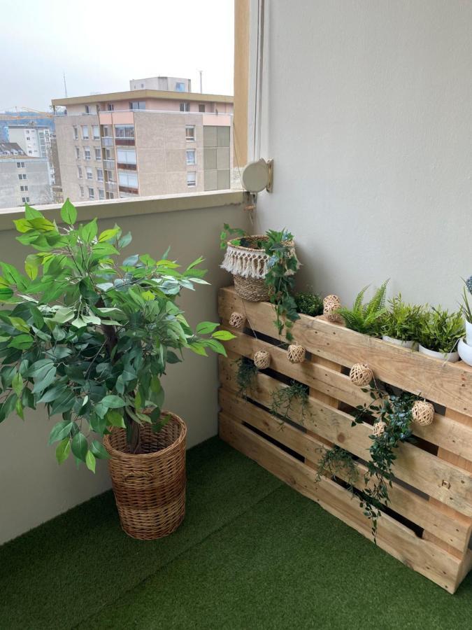 Apartment Magnifique Au Coeur De Mulhouse